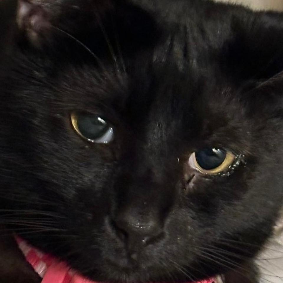 Care for Pupete: Fund Her Tooth Removal