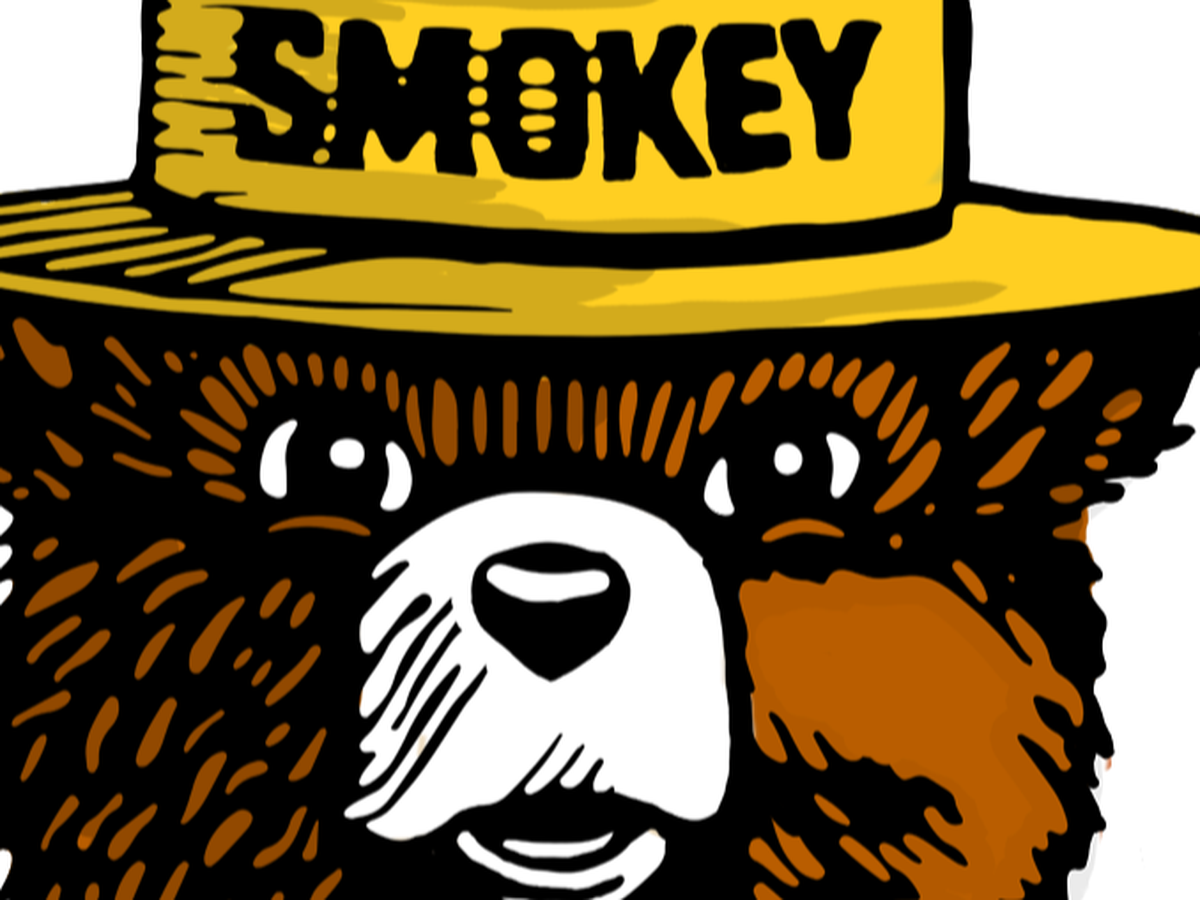 Fundraiser’s main image