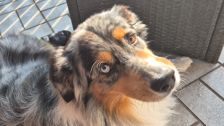 Hilfe für Marty-Kämpfen gegen Schmerzen und unklare Diagnose campaign photo, 1 of 6