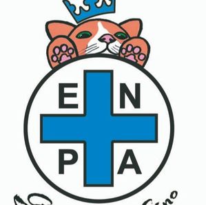 ENPA Gattile Re Gino