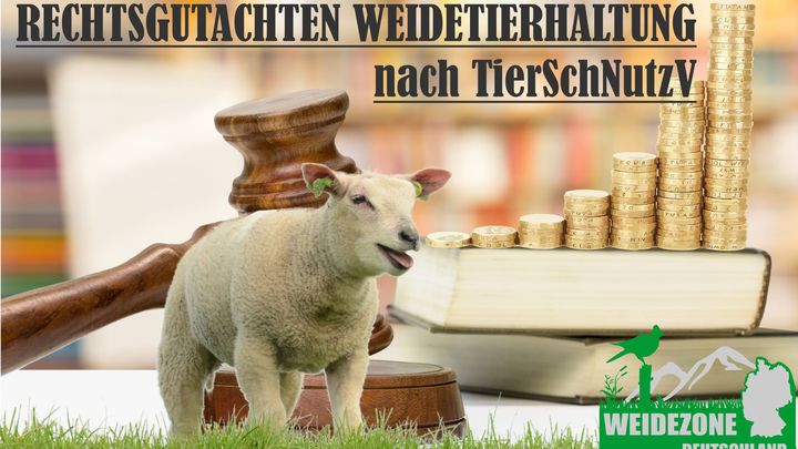 Hauptbild der Spendenaktion