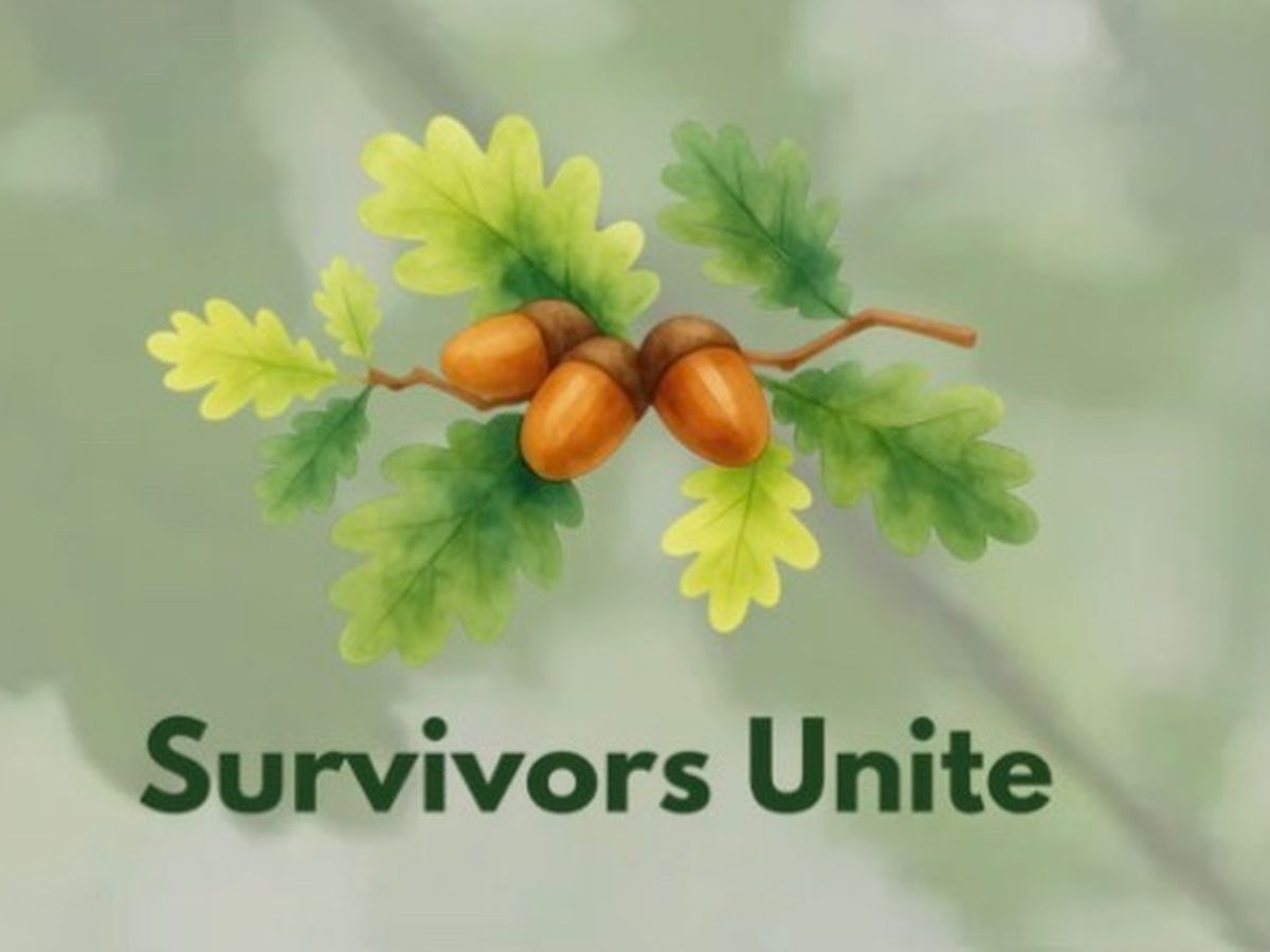 Fundraiser’s main image