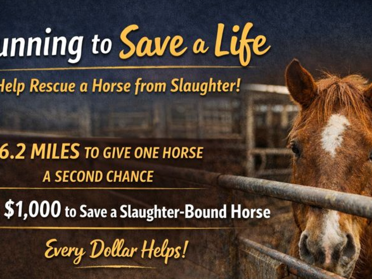 Fundraiser’s main image