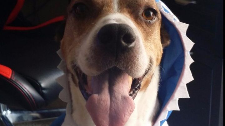 Main fundraiser photo