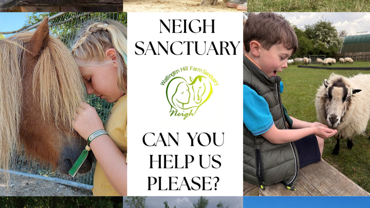 Help save NEIGH campaign photo, 1 of 8
