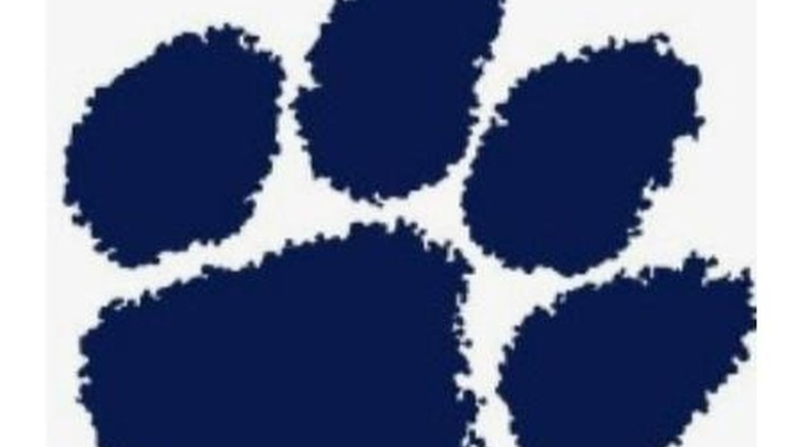 Support Owen and Millbrook JV Lacrosse Team campaign photo, 1 of 5