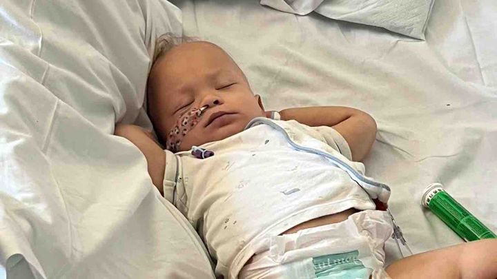 HELP- Koa needs your help now more than ever campaign photo, 1 of 13