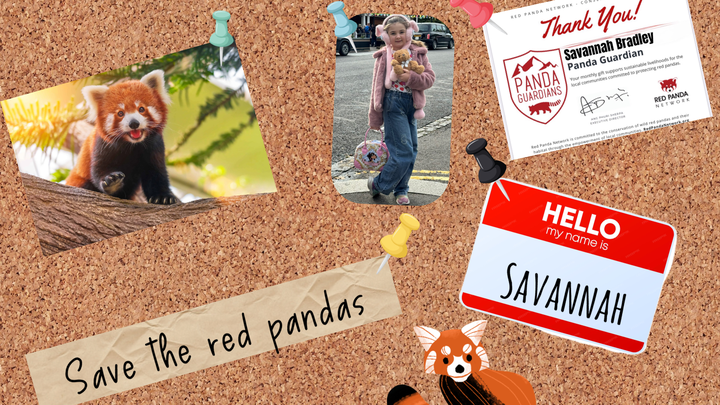Sponsored Wilmslow Litter Picking to Save Red Pandas campaign photo, 1 of 8