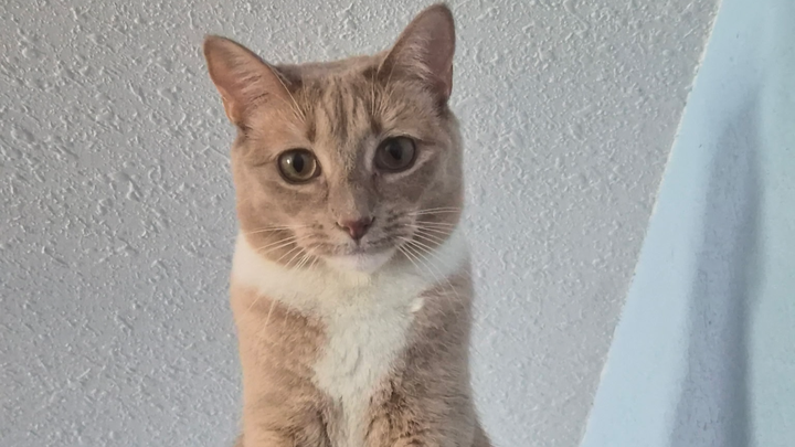 Support Peaches Through Her Health Struggles campaign photo, 1 of 8