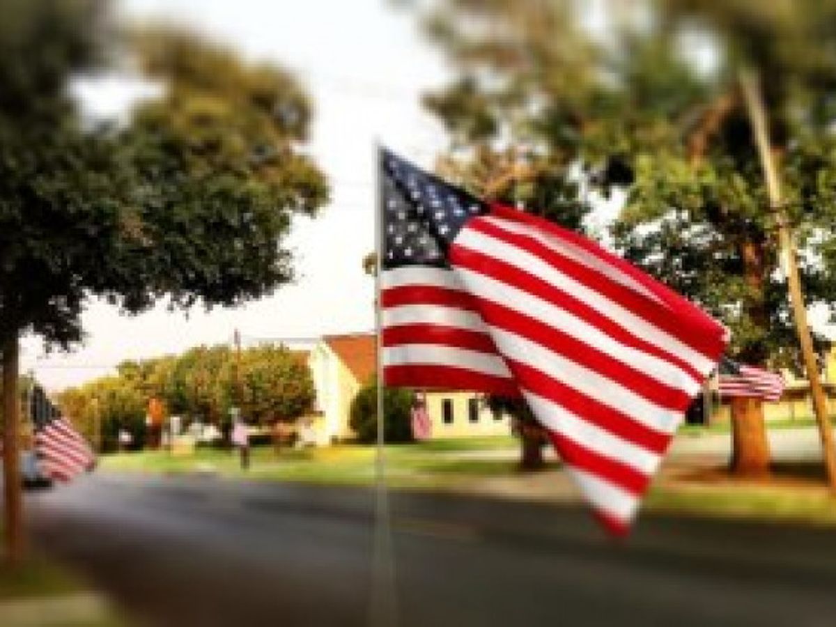 Greenville Flag Project campaign photo, 1 of 3