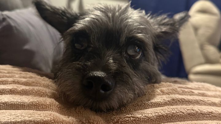 Help Penny Get the Care She Needs campaign photo, 1 of 8