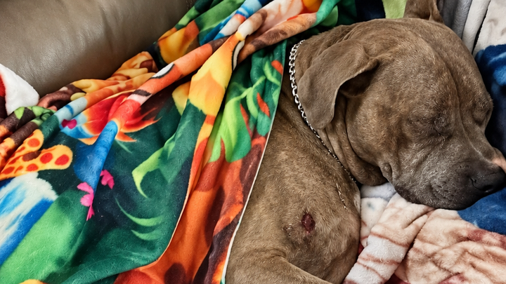 Justice and Recovery for Memphis campaign photo, 1 of 8
