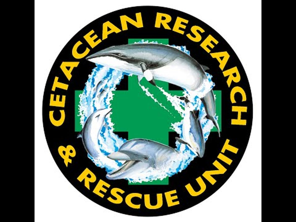 Fundraiser’s main image