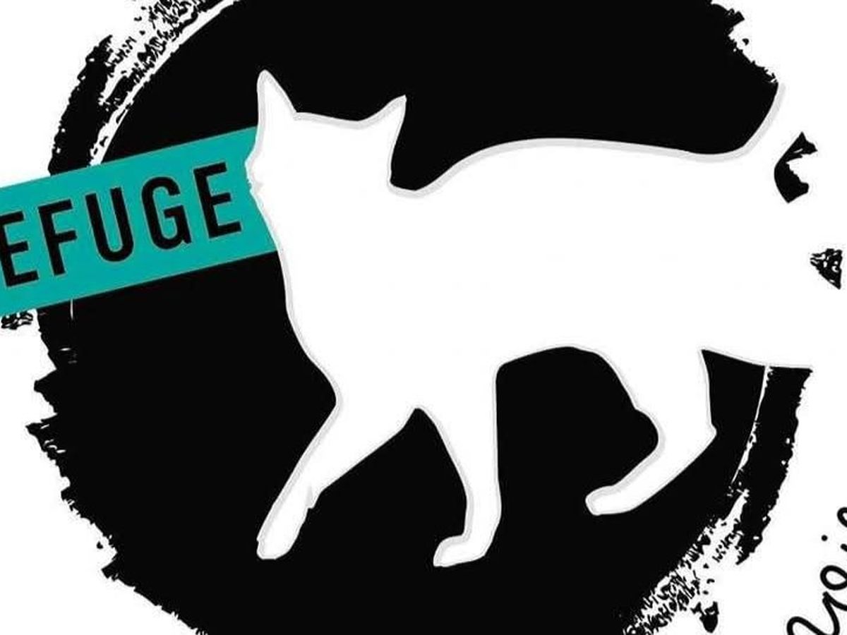 Fundraiser’s main image