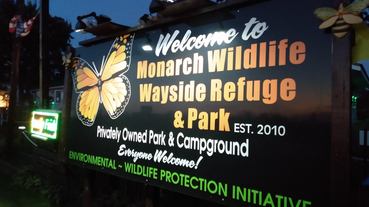 Help Us Build a Park Where Wildlife an People Find Sanctuary campaign photo, 1 of 8
