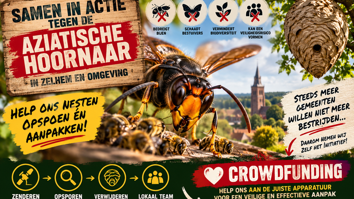 Samen in actie tegen de Aziatische hoornaar in Zelhem en omg campaign photo, 1 of 3