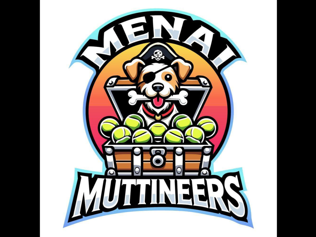 Fundraiser’s main image