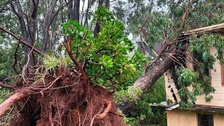 Help St. Joseph’s Catholic Church After Hurricane Lala campaign photo, 1 of 8