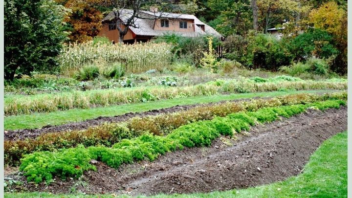 Help Build a Hoop House for Zaisheng Herbs campaign photo, 1 of 7