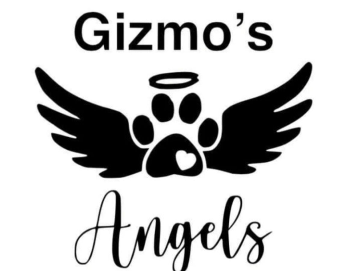Fundraiser’s main image