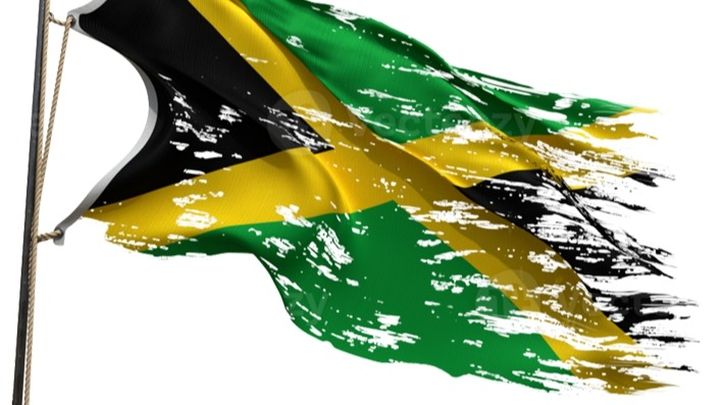 Support Jamaica: Essential Materials for Recovery campaign photo, 1 of 4