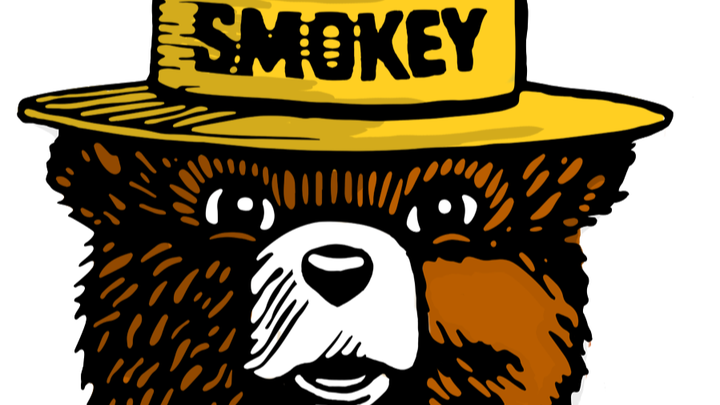 Smokey Bear Project raises money for National Park Services campaign photo, 1 of 3