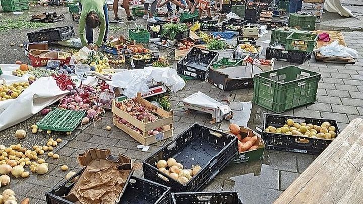 Spendenaktion Märit Grenchen nach dem Sturm campaign photo, 1 of 3