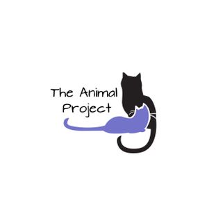 Animal Project