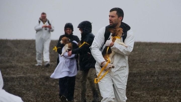 Donate to Laurie to Rescue Beagles from Ridglan Farms campaign photo, 1 of 5