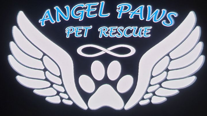 fundraiser-by-elizabeth-earl-harding-kennel-license-and-vet-bills