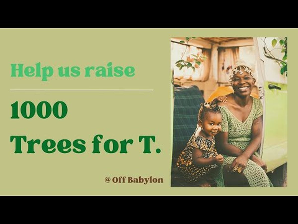 Fundraiser’s main image