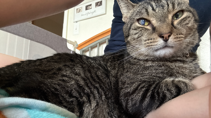 PeanutButter needs help with medical tests and analysis campaign photo, 1 of 7