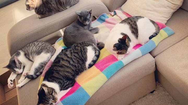 Help me pay my bills and feed my animals please! campaign photo, 1 of 8