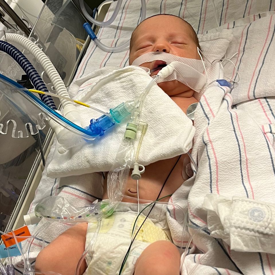 Fundraiser for Chandler Gohn by Pilar Tobin : Medical Funds for Gohn Family