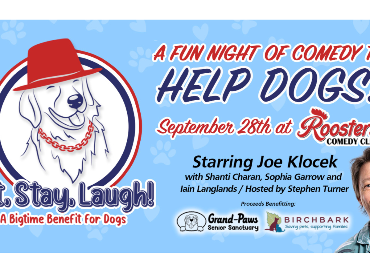 Fundraiser’s main image