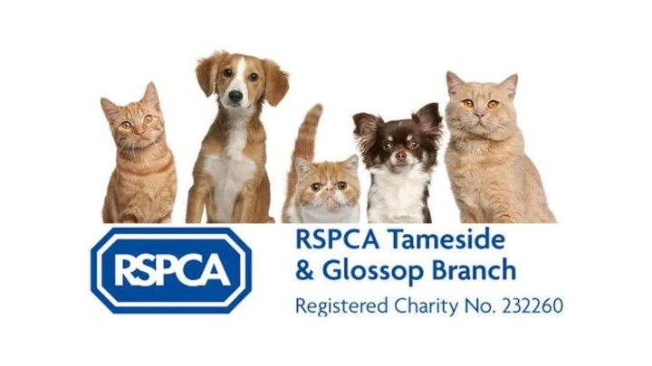 RSPCA Tameside and Glossop campaign photo, 1 of 3