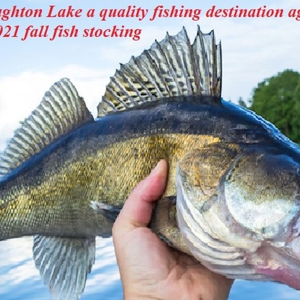 Fundraiser by Michael Daly : Houghton Lake Fish Stocking 2021