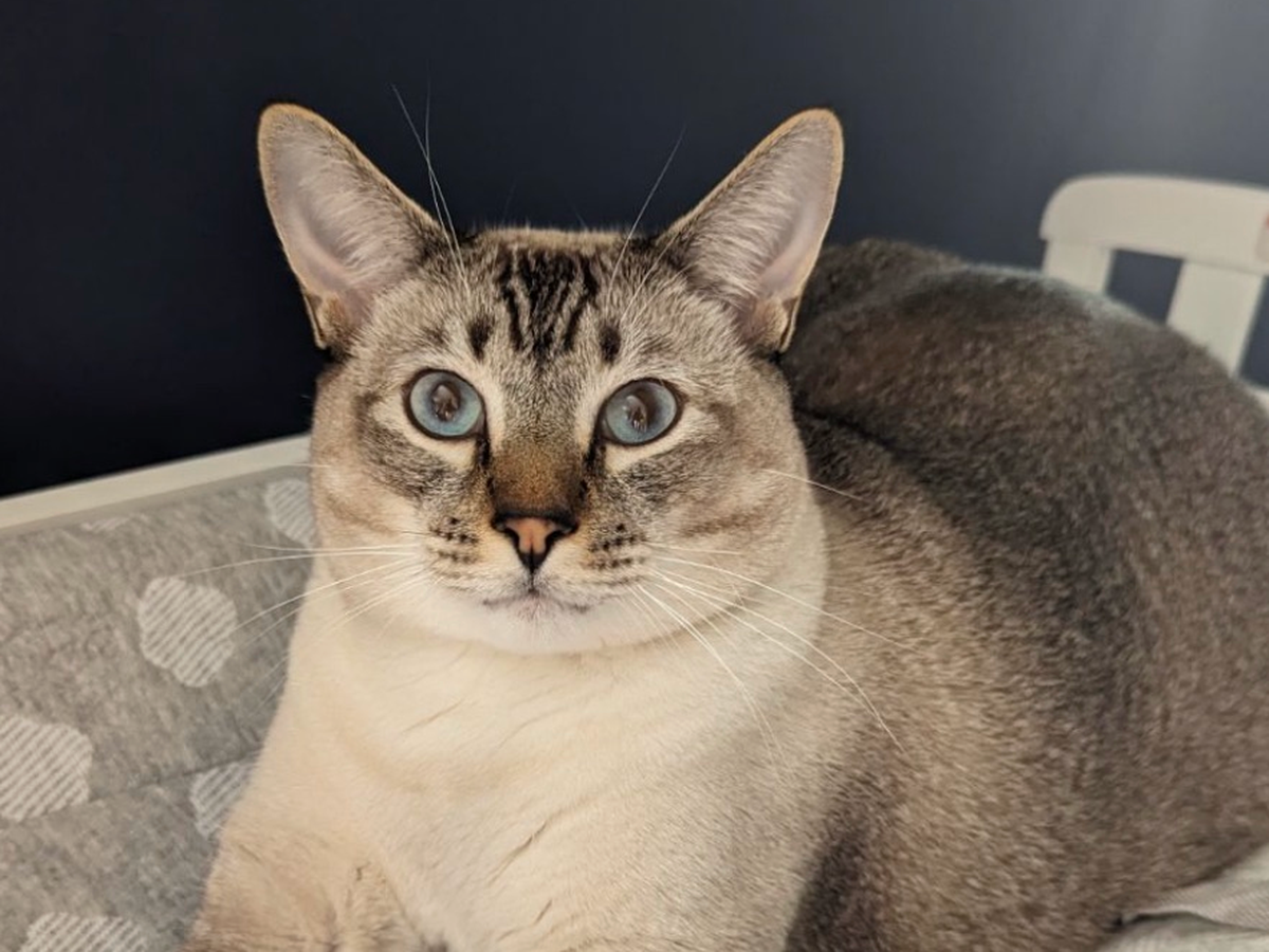 Fundraiser’s main image