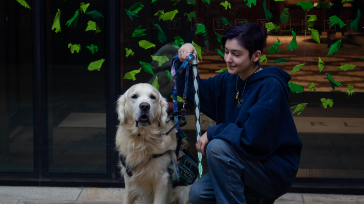 Funds for J’s next Assistance Dog campaign photo, 1 of 3