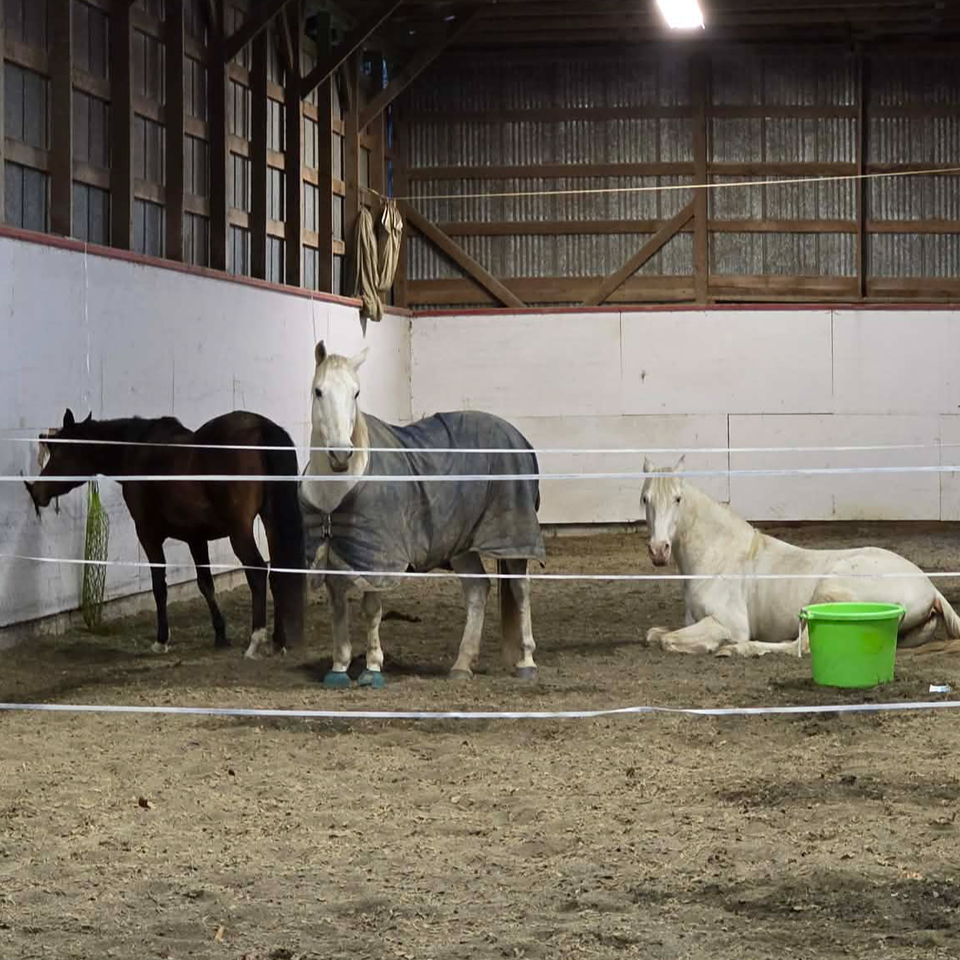Help Cherry Creek Farm Rebuild After Catastrophic Flood