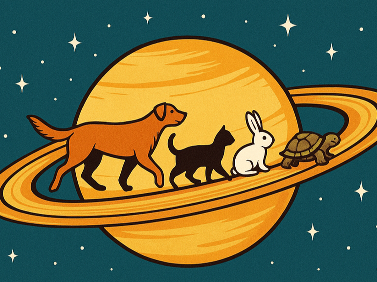Fundraiser’s main image