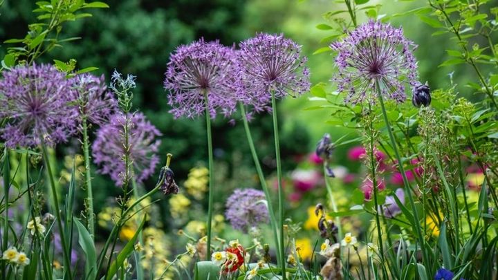 Hauptbild des Spendenaufrufs