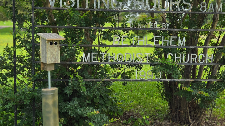 Friends of Bethlehem Cemetery (Capleville, Tennessee) campaign photo, 1 of 5