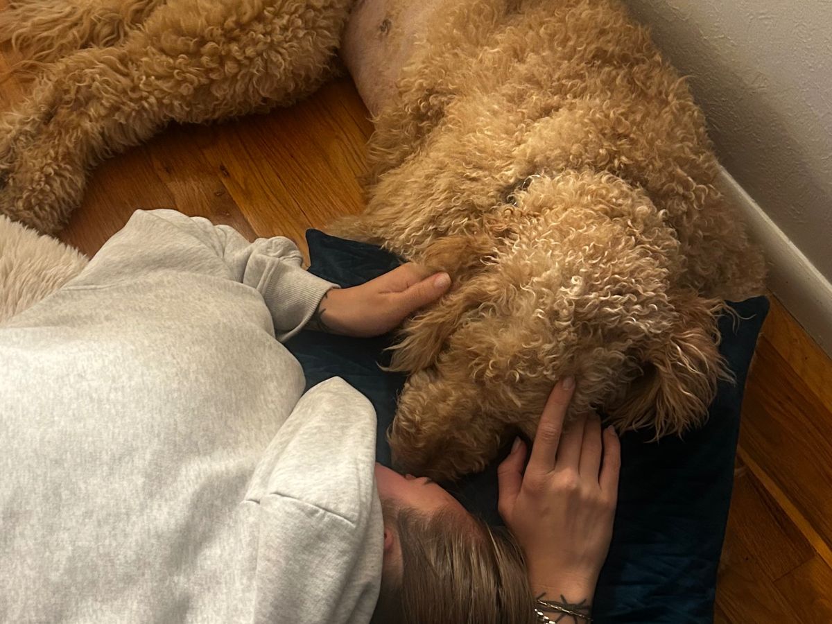 Emme & Mazzy Need Our Support campaign photo, 1 of 6