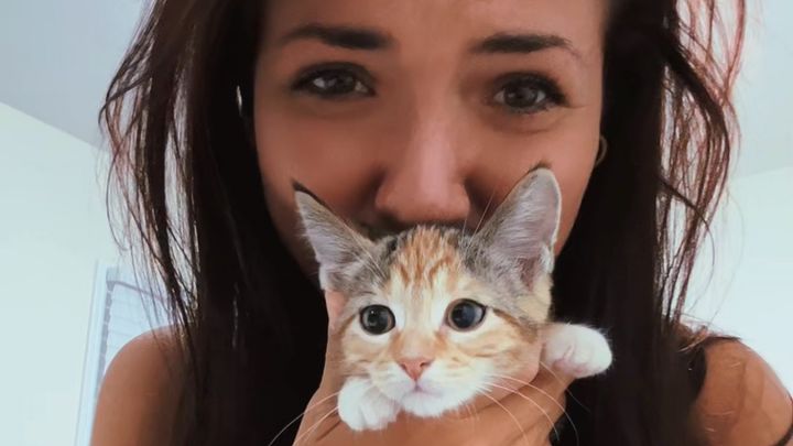 Building a Forever Home for Rescue Cats