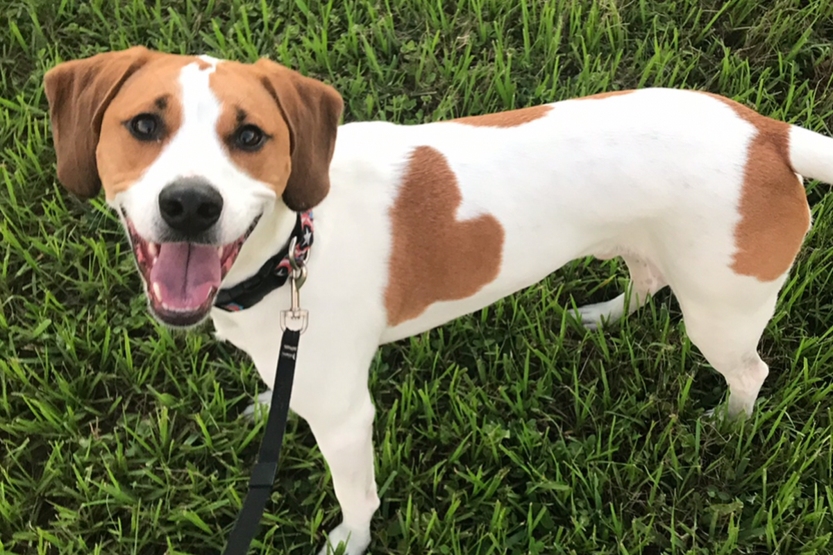 Fundraiser for Brad Parsons by Brittany Meredith : Bucky's ...