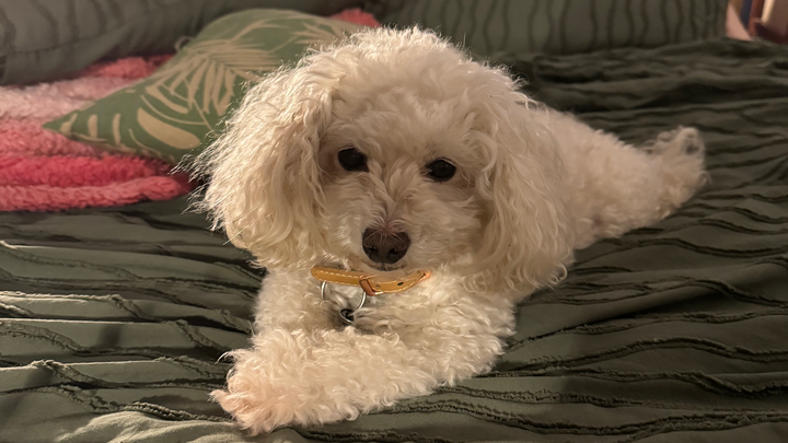 Prayers for Chanel- from Diagnosis to ICU campaign photo, 1 of 8