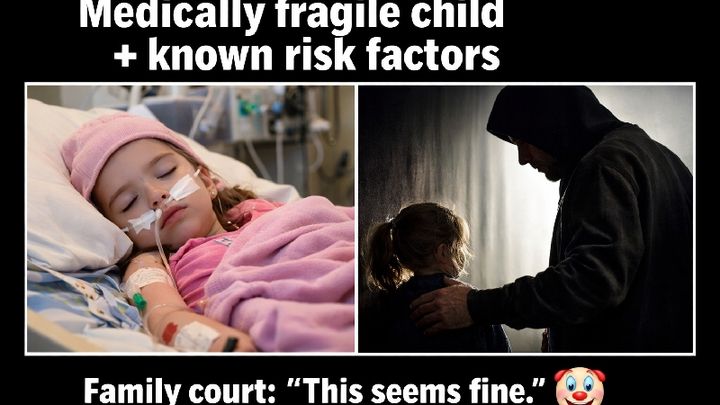 Support Taci's Legal Battle campaign photo, 1 of 5