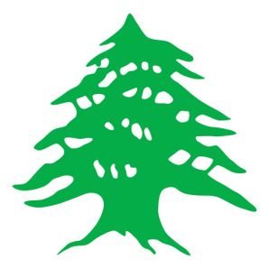 GoFundMe profile picture for @cedars