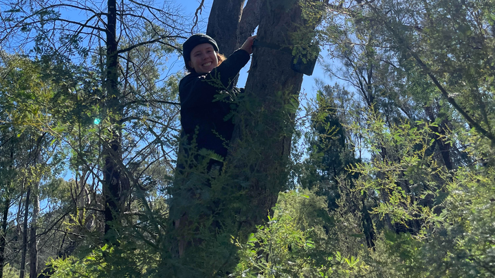 Save the Swift Parrots: Jade's 50km Ultra Marathon campaign photo, 1 of 2